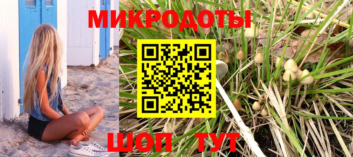 Псилоцибиновые грибы Psilocybine cubensis  Вход с VPN  Красногорск 
